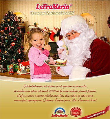 Newsletter felicitare craciun