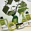 Catalog Starwax, design grafic Inovativ Media