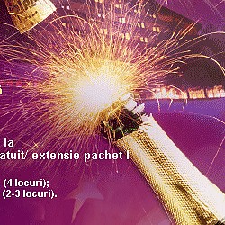Alpin Revelion