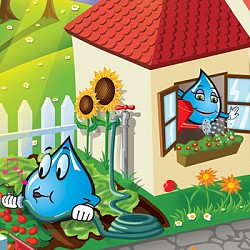 Puzzle Compania Apa